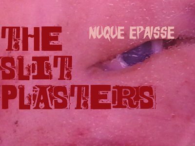 The Slit Plasters photo