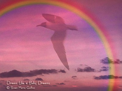 Dream Like a Baby Dreams