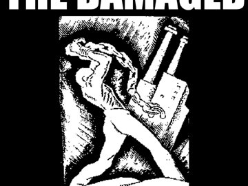 The Damaged photo