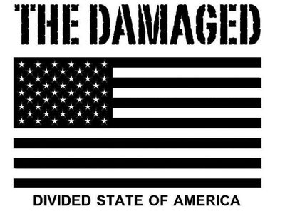 The Damaged photo