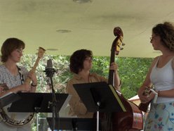 The Cowbelles photo