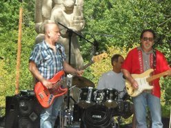 Jonny & the Stingrays photo