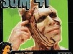 sum 41 photo