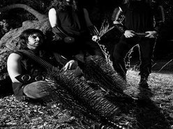 Abigail Williams photo