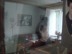 The Stebiv's Weary Ground photo