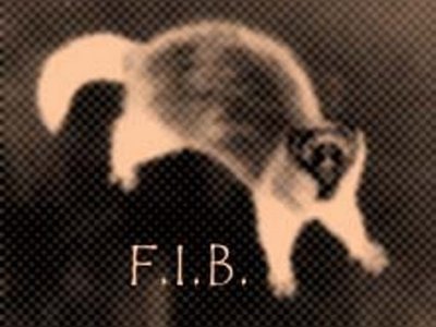 Ferret