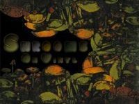 Free Download  - http://www.mediafire.com/?mteyztiwgmj