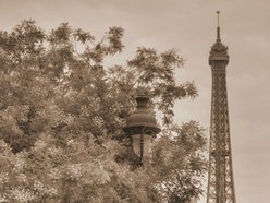 David Wickham Photography photo