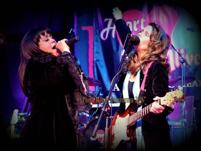 Heart Love Alive photo