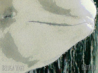 Beluga Wake (2016)