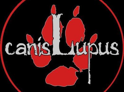 Canis Lupus photo