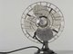 Eclectic Fan