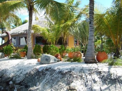 My Island