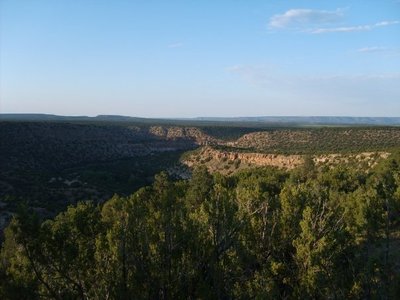 NM