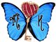 MK LOGO