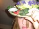 P!ATD much???haha