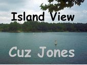 www.cuzjones7.com