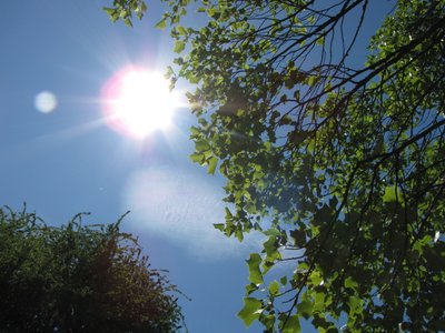 Wonderful Day