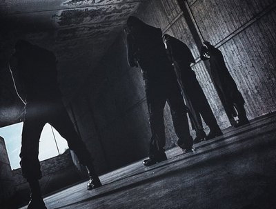 Veratrum OFFICIAL photo