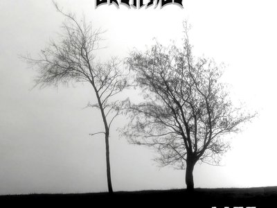 greyfade photo