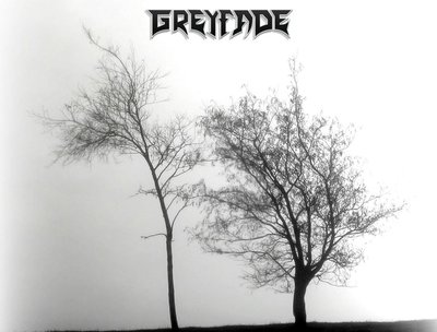 greyfade photo