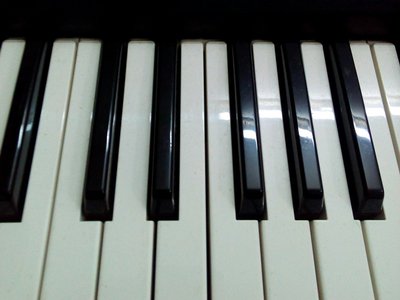 Vijsi- The unexpected music composer photo