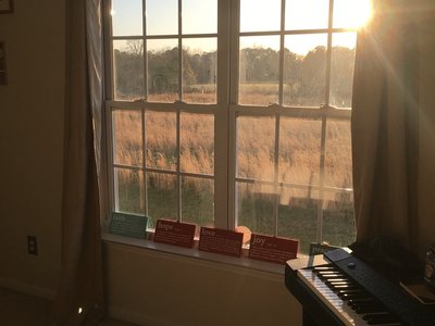 View from my bench at sunset.