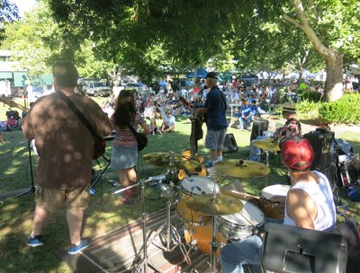 Davis Farmers Market Picnic in the Park 2016  with Steve Wood filling in for Les