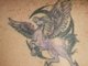 1st tattoo - back right shoulder
