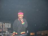 King B-Fine photo