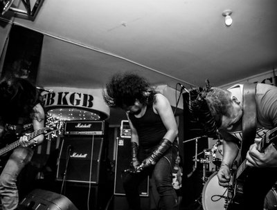 Arius photo