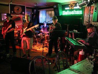 Rickshaw Lizard live at Nuzbacks.  Laurel, Maryland.   Photo:  Gayle Mangan Kassal
