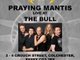 Praying Mantis @ The Bull