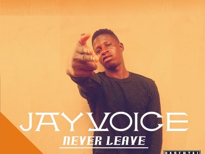JAYVOICE photo