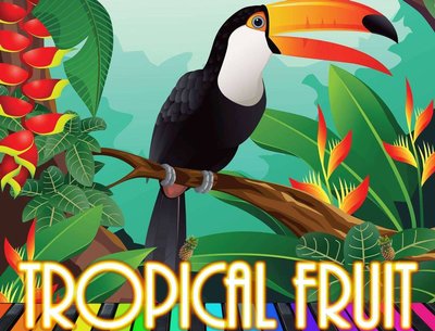 TropicalFruitCDArtwork