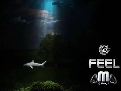 Feel