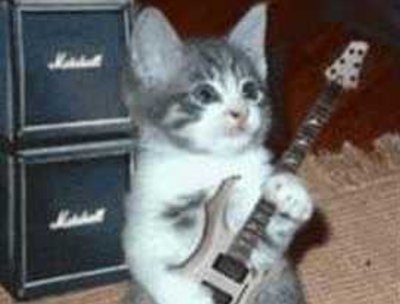 Danny Reynolds on guitar/vocals
