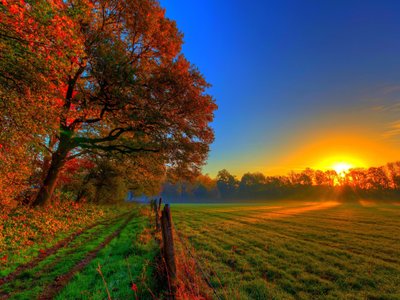 Fall rise.
