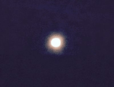 Full moon fever