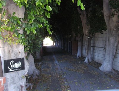 Pulling into Soultone Cymbals HQ for endorsement signing! Encino, CA. July 2013.