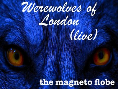 The Magneto Flobe photo