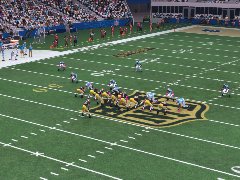 The New Mardi GrasVenue50004,Broadcasting Live Inn Cyber World From Realm League WildKat50004.