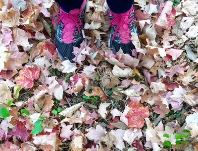 Loving fall!