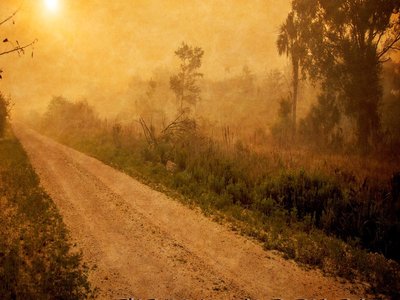 Innuendo - The Road Not Taken - 2017 - XLR8 Records