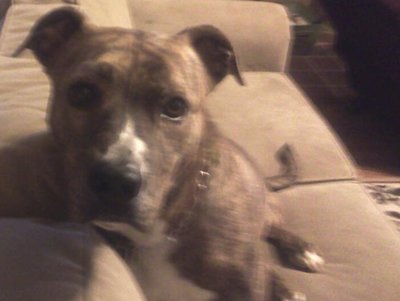 MY BABY BOY !