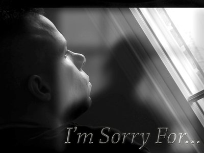 "I'm Sorry For..." album cover