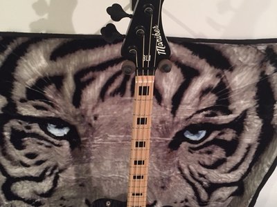 Tiger Creek Band photo