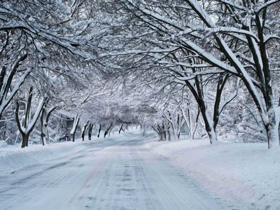 snow scene