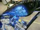 new bike