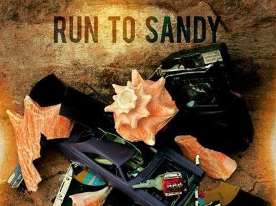 Run To Sandy photo